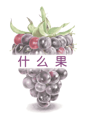 什么果