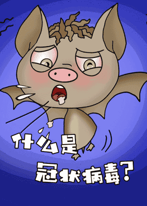 什么是冠状病毒？